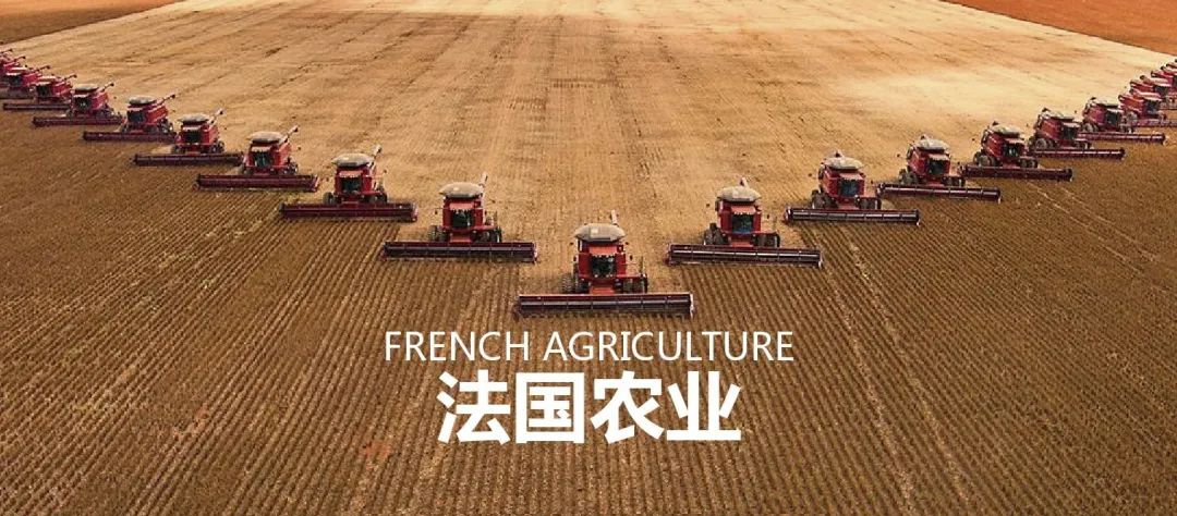 法国农业：欧盟农业大国，靠这6大策略制胜市场